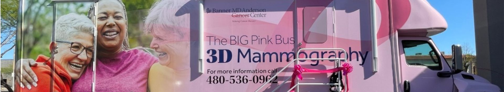 BIG Pink Bus hero image